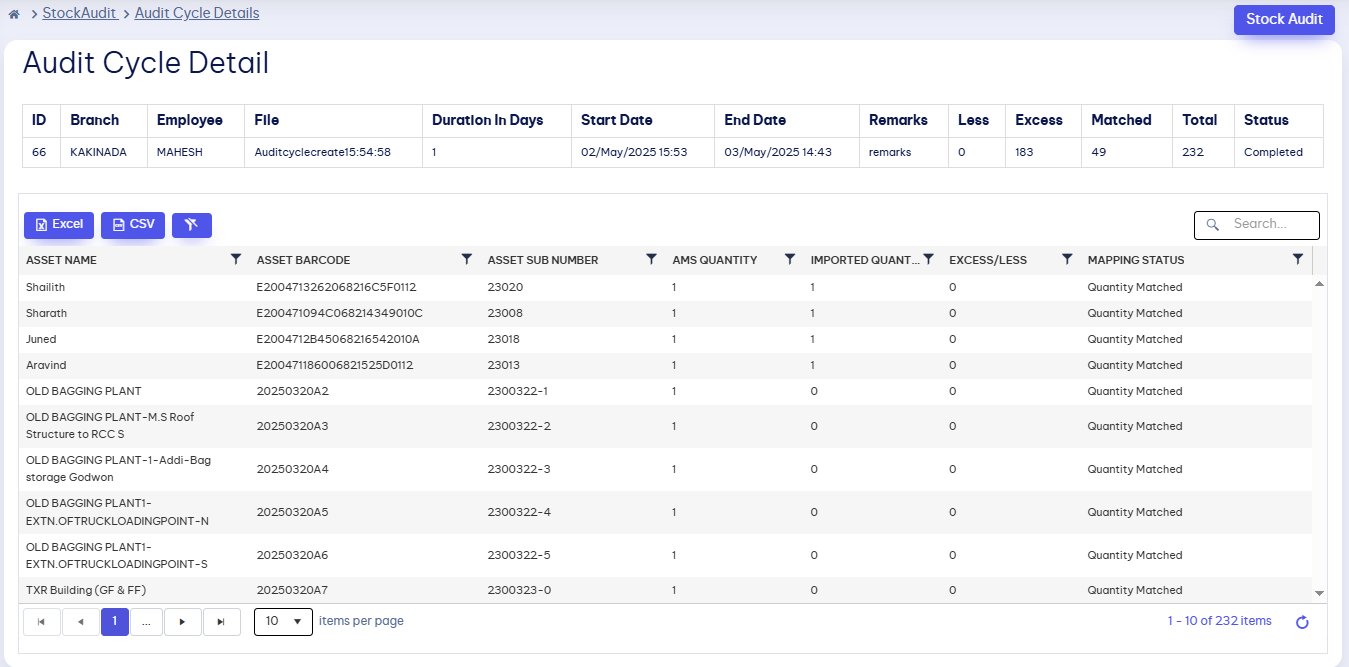stock audit details